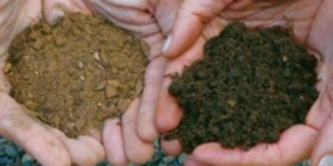  dirt delivery near me