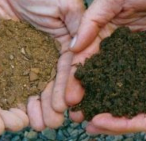  dirt delivery near me