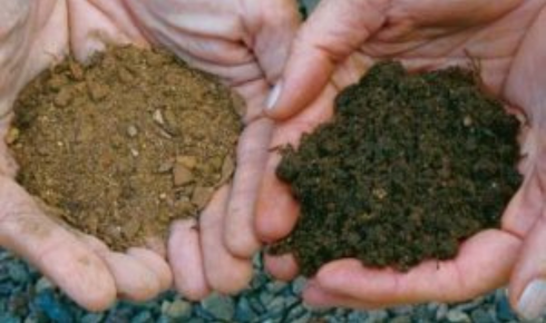  dirt delivery near me