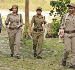 van vibhag bharti online